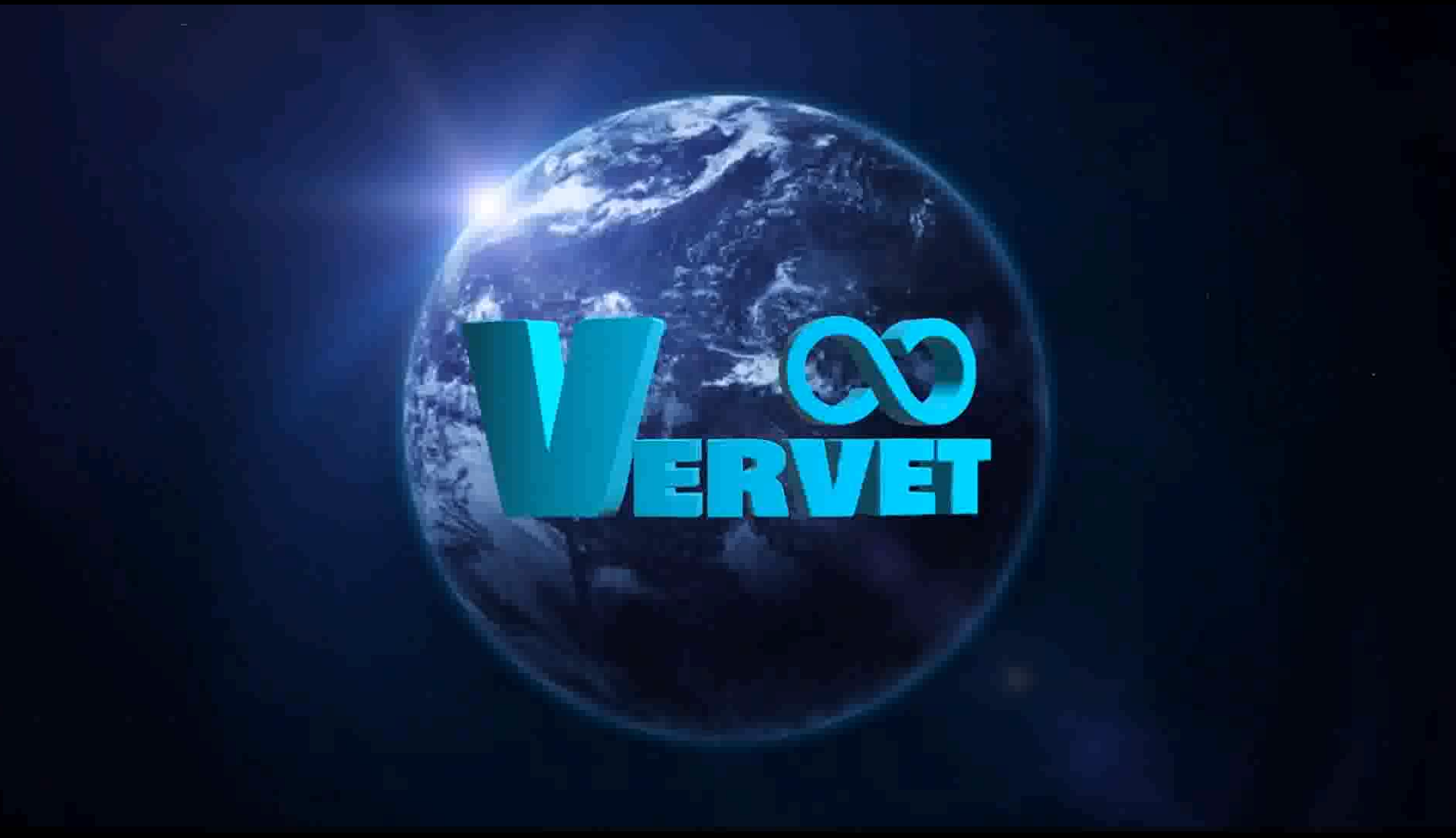 About Us – Vervet